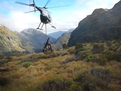 helicopter transports wholesale wild venison